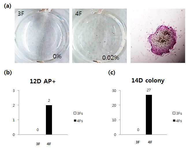 3 factors 와 4 factors 처리시 colony 형성 빈도와 alkaline phosphatase 조사