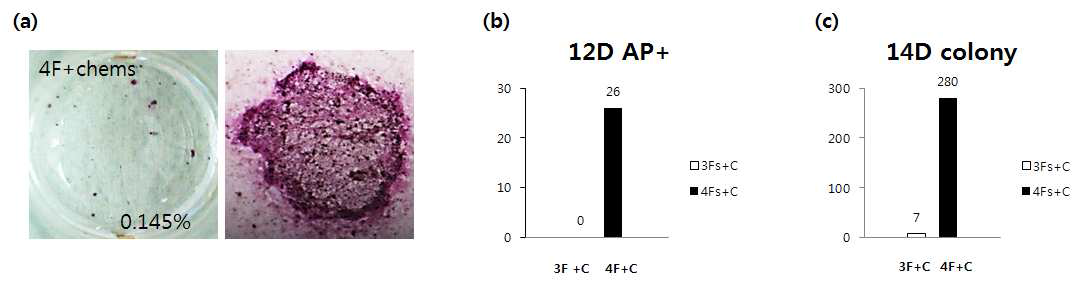 alkaline phosphatase 염색 조사와 역분화 효율 및 세포의 성장능력 분석