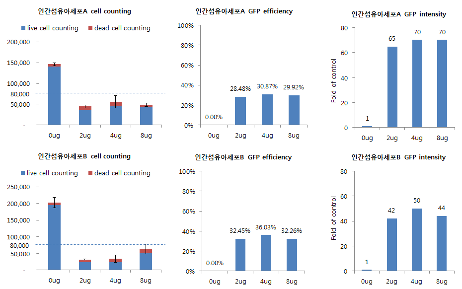 두 종류의 인간 섬유아세포에 DNA양이 증가함에 따라 세포독성과 유전자 도입효율이 변화하는지 FACS로 분석함.