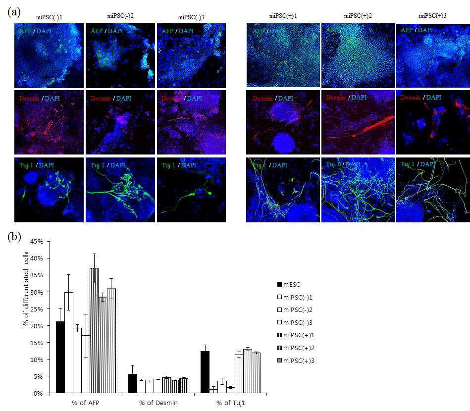 mouse의 유도만능줄기세포를 이용하여 내배엽, 중배엽, 외배엽성 세포로 분화시키고 pathway inhibitor를 처리한 조건과 그렇지 않은 조건에서 그효율을 비교함.