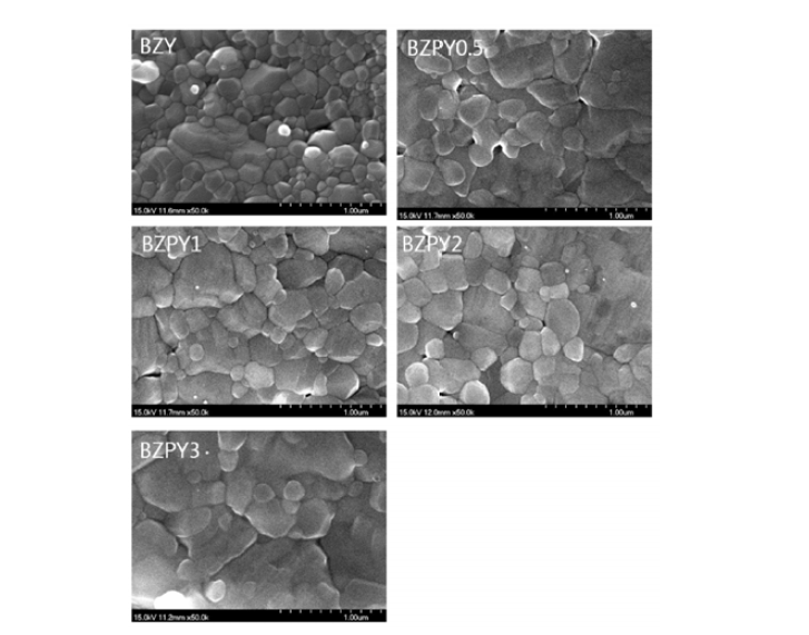 소결된 BZPYx fracture 샘플의 FE-SEM image