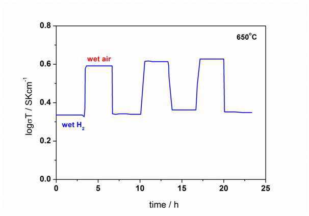 BZPY3 전해질의 wet air/wet 5% H 가스분위기에서 redox cycling 안정성 평가2