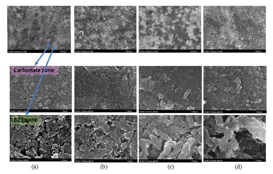 Carbonate 함유량별 SEM 이미지 (a) 10wt% (b) 15wt% (c) 25wt% (d) 35wt%