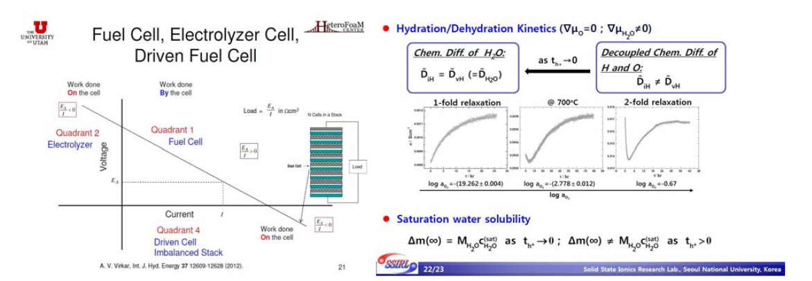 (좌) Anil Virkar (미국)의 Fuel cell의 거동 해석과 (우) 유한일 (한국)의 relaxation pattern 분석