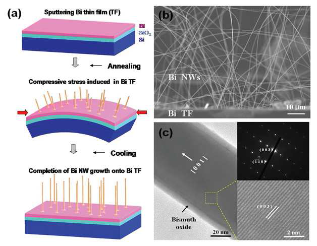 (a) 열처리를 통한 단결정 Bi 나노선의 성장 (b) 성장된 단결정 Bi 나노선 의 주사전자 현미경 이미지 (c) 단결정 Bi 나노선의 투과전자현미경 이미지와 전 자회절 패턴
