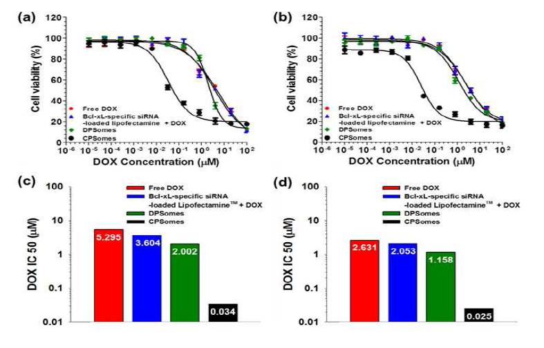 DOX만 처리한 경 우, Bcl-xL siRNA를 넣 은 lipofectamine과 DOX를 처리한 경우, DOX를 캡슐화한 liposome을 처리한 경 우, DOX와 Bcl-xL siRNA를 같이 캡슐화한 liposome의 경우에 대한 세포독성 실험. (a, c) CD44 고발현 위암세포 주 MKN-45, (b, d) CD44 저발현 위암세포