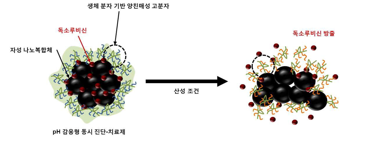 종양환경 지능형 진단/치료 복합체의 개념도