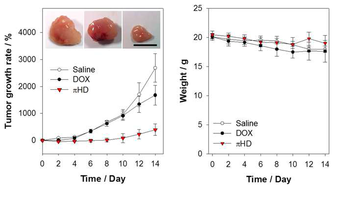 MKN-45 세포주가 이식된 동물 모델에 약물 전달체 를 처리하여 종양 성장 변화 및 몸무게 변화 그래프