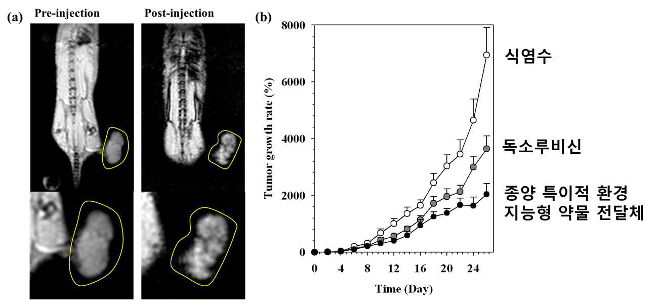 종양 특이적 환경 지능형 약물 전달체 (pH감응형 동시 진단 치료제) 를 동물 모델에 주입하여 생체 내 거동을 자기공명영상으로 확인 (a,b). 2일 간격의 치료 주기로 종양 크기 변화를 측정