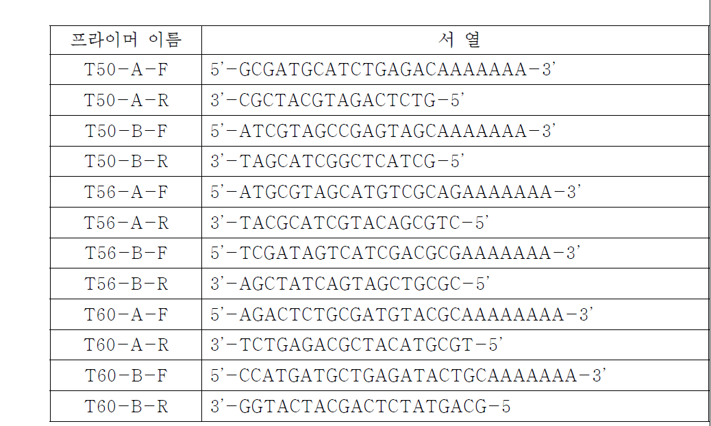 Self-addressable DNA 칩 제작을 위하여 서로 상보적인 6쌍의 DNA