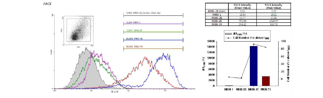 위암세포주별로 CD44의 발현률 FACS 결과