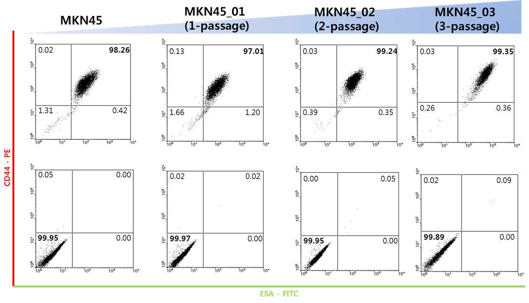 세포 배양 횟수에 따른 위암 표적 마커 (CD44, ESA) 발현율을 FACS 결과