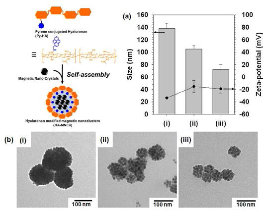 HA기반의 양친매성 고 분자를 합성, 이를 이용하여 자성 나노 복합체를 개발함