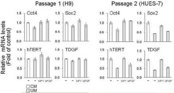 CT4, SOX2, hTERT 및 TDGF의 발현을 위한 실시간 qRT-PCR 분석