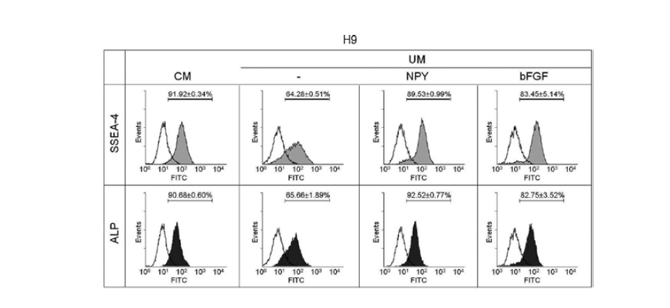 H9 hESC에서 SSEA-4 및 ALP 발현의 FACS 분석