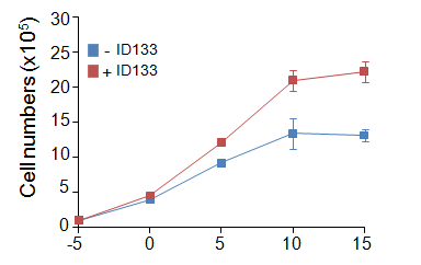 ID133의 세포 성장 조절 효과 조사