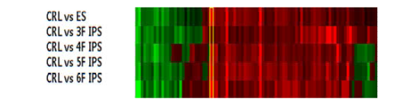단백체 분석을 통해 보인 발현 변화를 heatmap을 통해 예시한 그림
