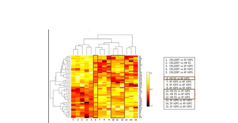 heatmap 분석을 통한 다양한 역분화줄기세포들의 배아줄기세포와의 유사성 및 차이점 분석 결과