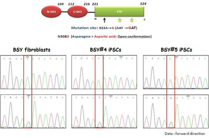 BSY 환자의 mutation 확인