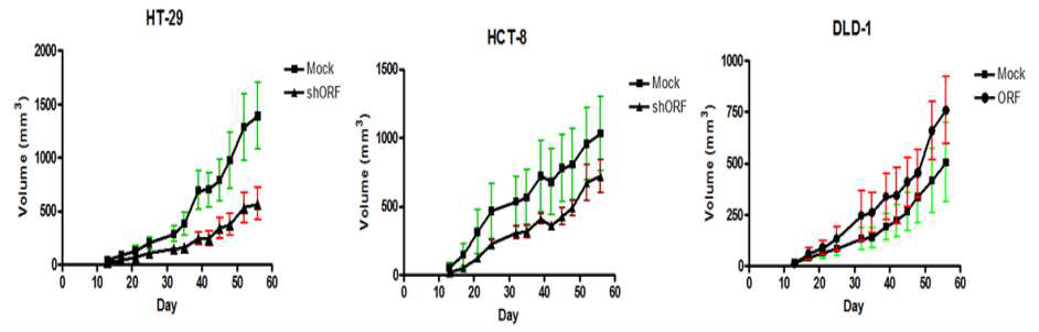 각기 다른 대장암 세포주에서 ORF 발현 조절에 의한 종양부피의 변화 비교