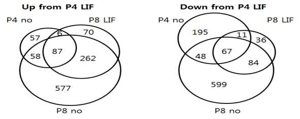 P4 LIF 조건과 비교하여 각 조건에서 변화한 유전자 들 간의 벤다이어그램