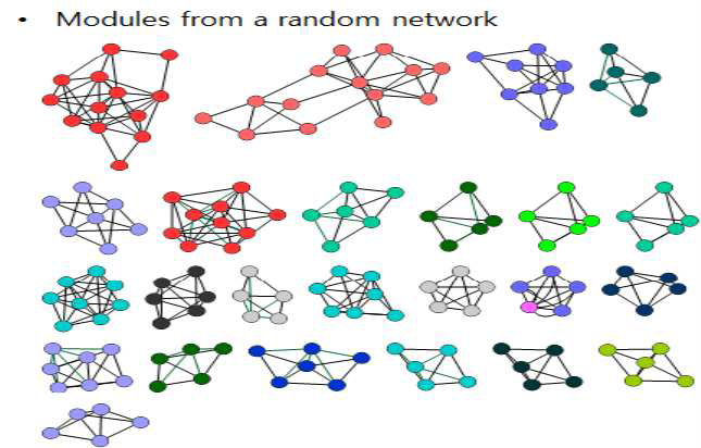 CTCF와 Rad21에 의해 매개되는 상호작용 네트워크.
