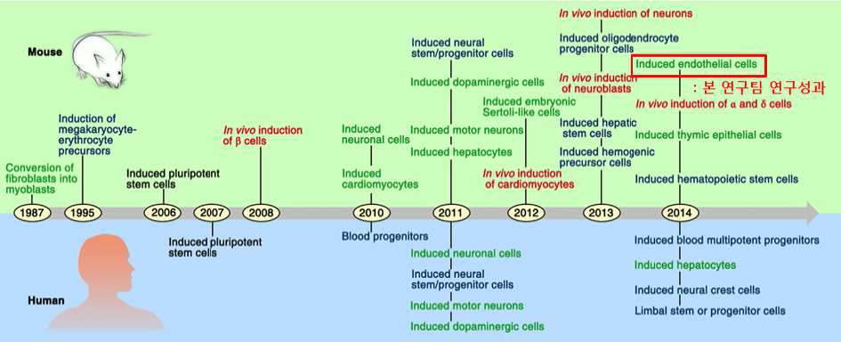최근의 세포 직접 전환을 정리하는 리뷰 논문에 관련 분야 주요 성과 중 하나로 지목받고 있음.