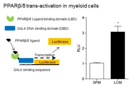 In vitro PPARdelta luciferase assay