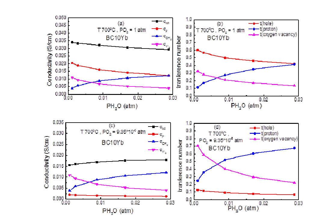 수증기 분압 변화에 따른 BC10Yb의 transference number