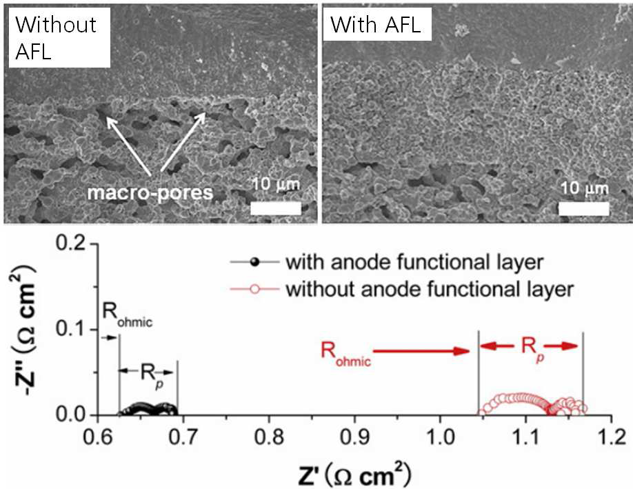half-cell 측정 시 음극 기능 층의 전기화학특성에 대한 영향
