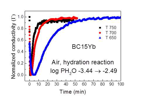 BCYb의 온도 별 전기 전도도 감쇄법 결과