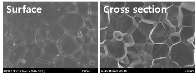 소결된 BZY 전해질의 표면 및 단면 미세구조
