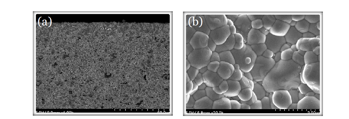 dip-coating법으로 제조된 전해질/음극지지체의 단면(a) 및 표면(b) SEM 이미지 분석결과