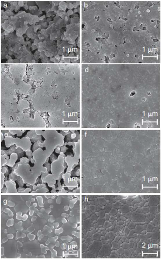 1700℃에서 5시간 소결 BZY 시편의 미세구조: (a) Undoped; (b) 0.5 mol% Bi2O3 (c) 1mol% Bi2O3 (d) 3mol% Bi2O3 (e) 0.5wt% MnCO3 (f) 1wt% MnCO3 (g) 2wt%MnCO3 (h) 3wt MnCO3