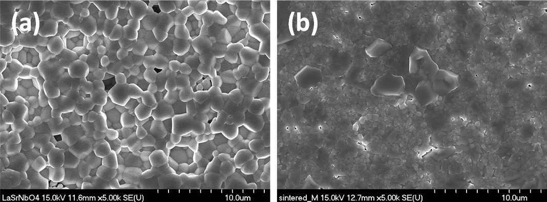 일반 (a) 및 변형 (b) 고상법으로 1500°C 5시간 소결한 LSN 시편의 미세구조.