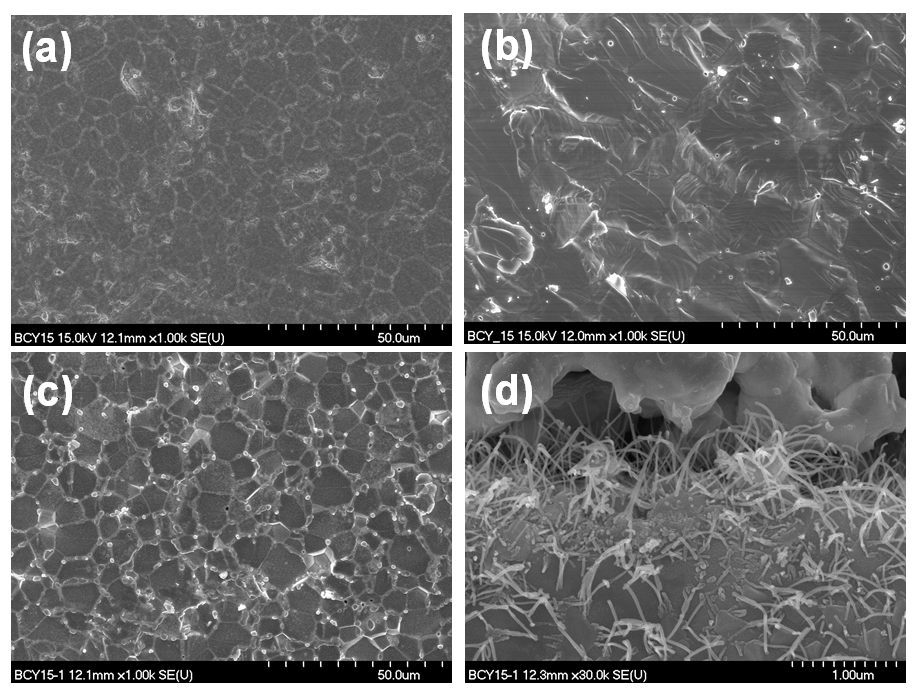 DC 0V 하에서 구동된 Pt/BCY15/Pt 셀의 미세구조 : 실험 전 샘플의 표면(a) 및 단면(b), 실험 후 샘플의 표면(c) 및 단면(d) 사진