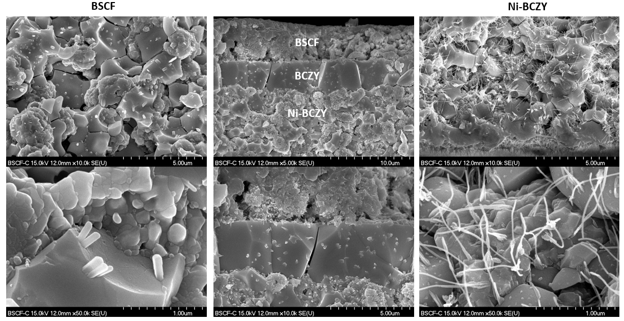 첫 번째 Ni-BCZY/BCZY/BSCF 단전지의 실험 후 미세구조 사진.