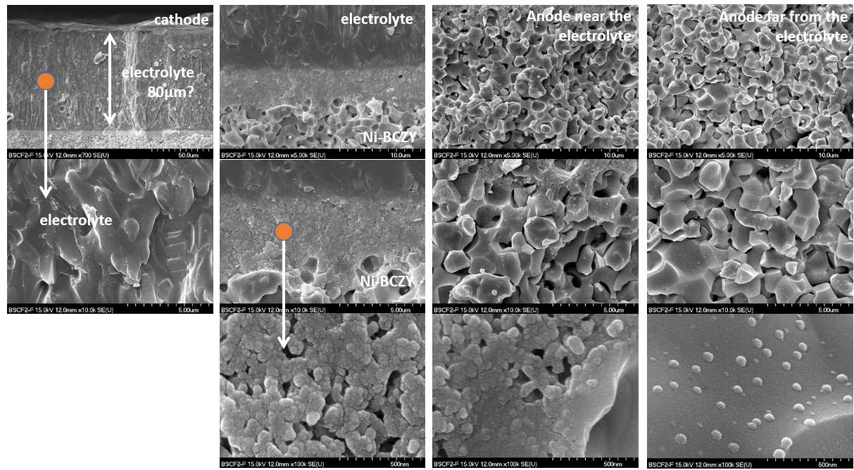 두번째 Ni-BCZY/BCZY/BSCF 단전지의 실험 후 미세구조 사진.