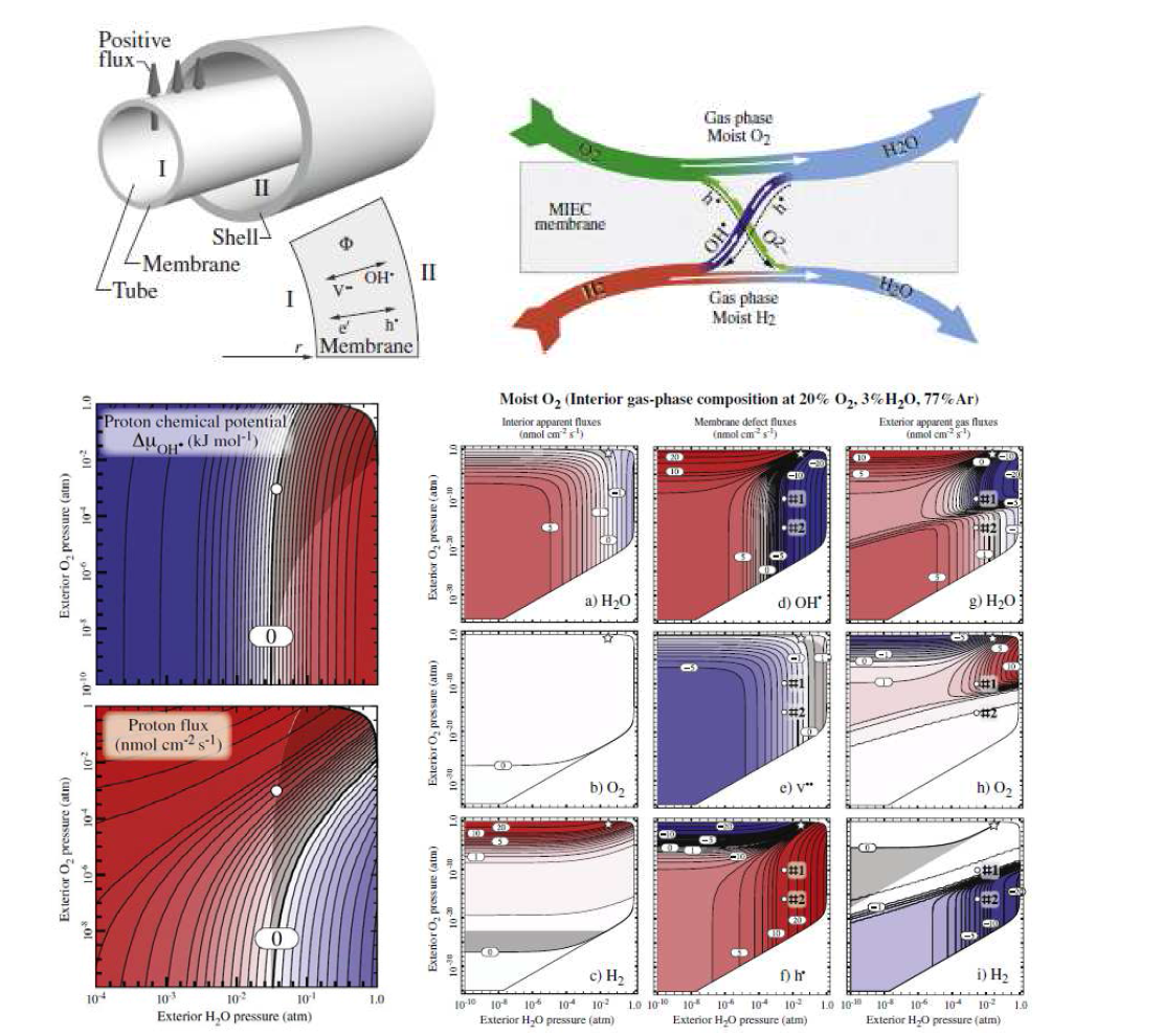 (위) 튜브형 멤브레인과 (왼쪽) 혼합체 멤브레인에서 기상과 다종 결함의 흐름을 나타내는 개략도 (오른쪽); (아래) 프로톤 화학포텐셜에 따른 프로톤 유량 (왼쪽); 수증기와 산소분압에 따른 멤브레인 안쪽 및 바깥쪽의 기상의 흐름과 멤브레인 내의 다종 결함의 유량의 Contour plots [34].