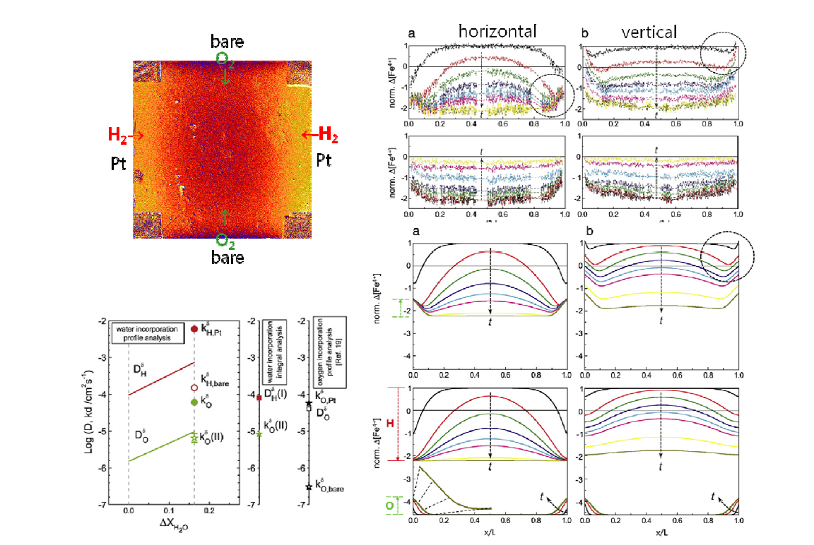 수화정도에 지수 함수적으로 의존하는 수소와 산소의 확산계수로 (왼쪽 아래) 산화-환원 프로파일을 (오른쪽 위) 유한차법으로 묘사함 (오른쪽 아래).