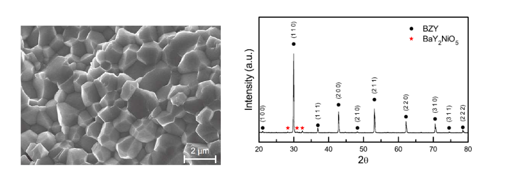 1400℃에서 반응 소결한 BZY20의 미세구조와 상분포 [45].