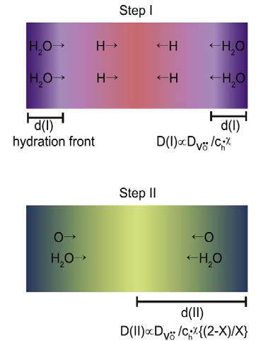 스텝 I의 유효 확산 거리 d(I) 과 스텝 II 의 유효확산거리 d(II).