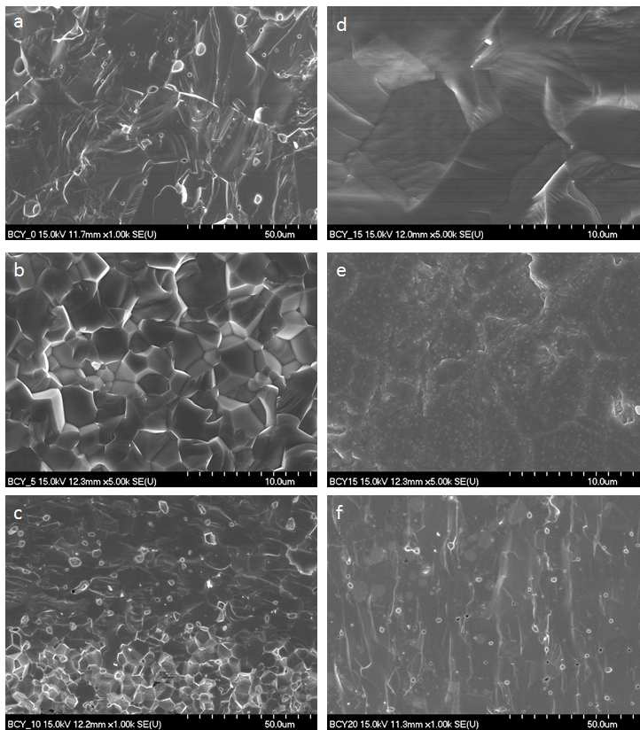 Y가 다른 여러 BCY의 미세구조: x=0 (a) x=0.05 (b) x=0.10 (c) x=0.15 (파괴단면) (d) x=0.15 (연마 후 에칭) (e) x=0.20 (파괴단면).