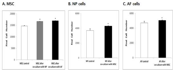 디스크세포와 MSC의 세포증식 효과