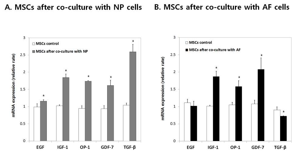 MSC는 디스크 세포와 공배양시 조직 치유 관련 cytokine의 mRNA 발현 분석: MSC의 조직 치유의 paracrine effect 기전을 보여주는 결과임.
