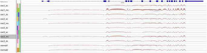 RNA-Seq을 통한 Splicing variation의 규명.
