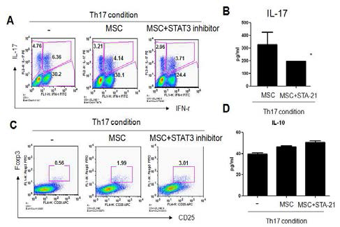 STAT3 활성이 억제된 중간엽줄기세포의 의한 T 세포 조절능