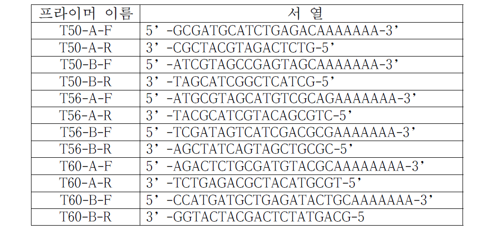 Self-addressable DNA 칩 제작을 위하여 서로 상보적인 6쌍의 DNA