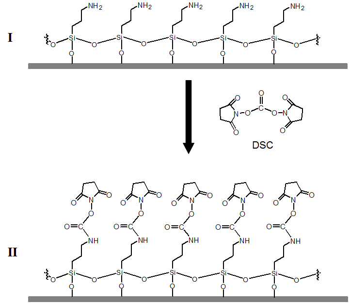 DSC를 이용한 아민칩 표면처리