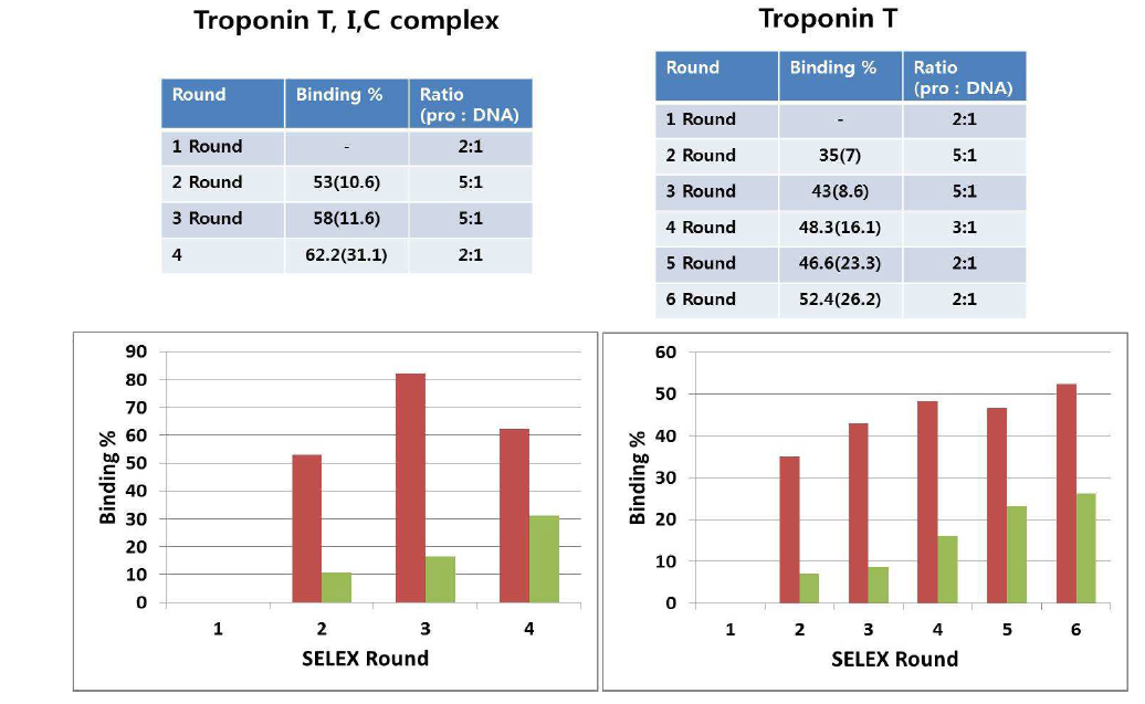 Troponin complex 및 Troponin T에 대한 압타머 개발을 위한 SELEX